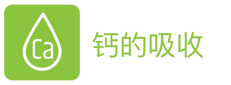 https://advancedlipids.com/wp-content/uploads/2020/04/calsiume-absorption-chinese@2x.png